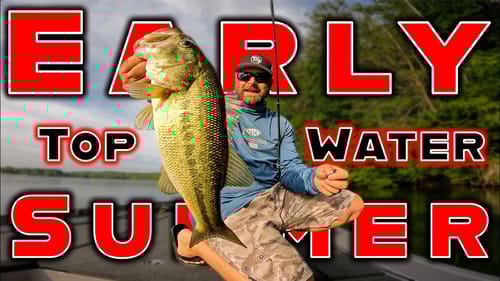 Topwater Baits And Finesse Tricks For The Early Summer Transition!
