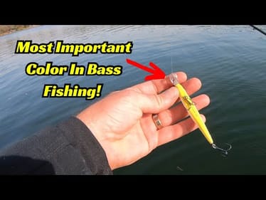 The Single Most Important Color In Bass Fishing!