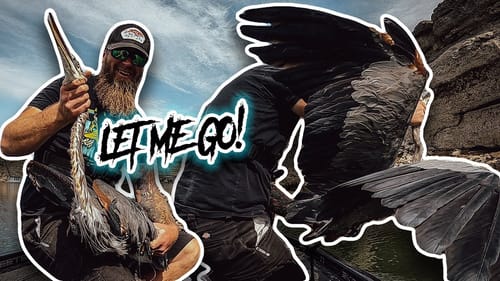 I Hooked A Giant Bird While Fishing And He Was P!$$ED and SCREAMING! Dramatic Blue Heron Rescue
