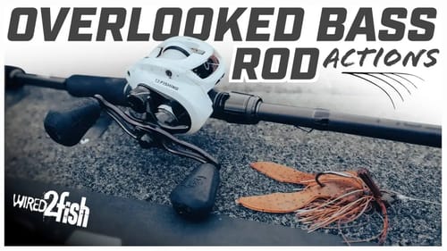Kyle Welcher’s Top 3 Must-Have Bass Fishing Rods