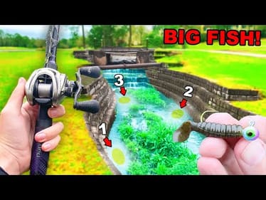 Bass Fishing URBAN PONDS For Big Fish (UnderWater Camera!)