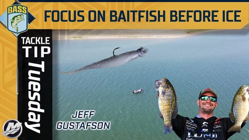 Focus on baitfish before ICE ON up north
