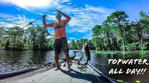CATCHING Big BRACKISH Water BASS Out of THICK Lily Pads!! || They Were CRUSHING Topwater!!