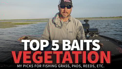 TOP 5 Baits for VEGETATION! (All Seasons)
