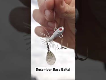 The BEST December Bass Baits! ✅