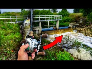 Catching Multiple Spillway Monsters on Big Swimbaits