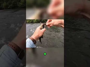 A good friend of mine always said river fishing is a full contact sport!