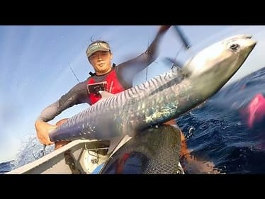 Big Spanish mackreal time! Kayak fishing Australia