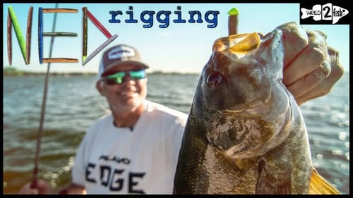 How to Ned Rig for Great Lakes Smallmouth Bass
