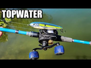 Catching Topwater Bass ALL DAY | Summer Bass Fishing