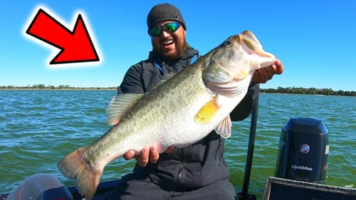 Early SPRING NED Rig FISHING (CATCH More Bass with this SIMPLE TIP!!!)