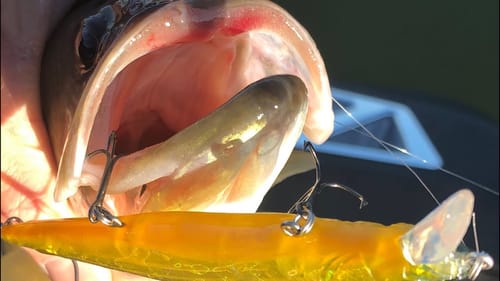 When You Want A Jerkbait To Suspend/Sink Or Float…