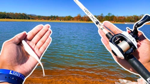Pond Hopping For FALL BASS