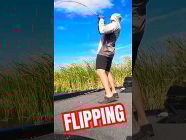 BOAT FLIP ONLY‼️ Lake Okeechobee #shorts #bassfishing #flipping