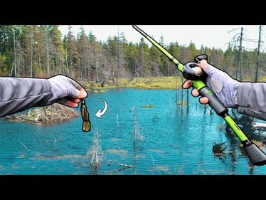FLIPPIN' Soft Plastics In HEAVY COVER!! 