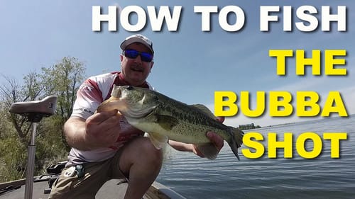 Drop Shot In Heavy Cover | Advanced Dropshot | Bubba Shot | Bass Fishing