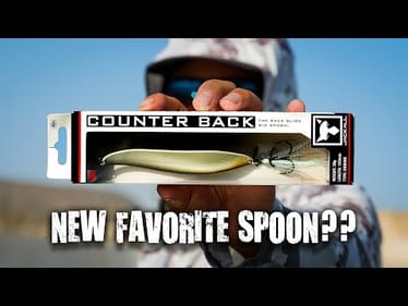 Best Spoon On The Market?? New Jackall Counter Back Spoon Breakdown!!