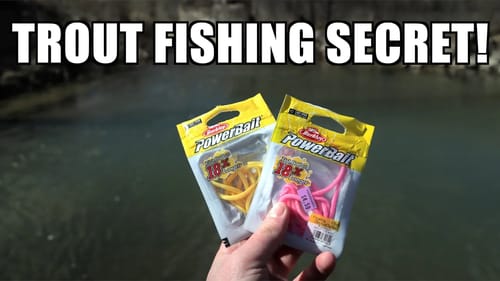 Small Creek Trout Fishing with PINK Powerbait worms! - Berkley Powerbait Worms for trout