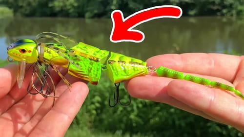 Bass Eat LIZARDS!? - WEIRD Lure Challenge!! (Big Bass)