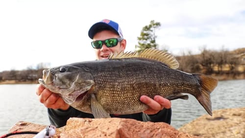 Catching TROPHY SMALLMOUTH BASS! *HUGE SMALLMOUTH*