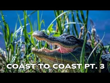 COAST TO COAST PT. 3 (TEASER)