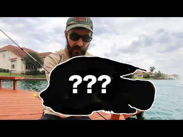 MICRO FIshing MONSTER!! (BIGGEST ON YOUTUBE?)