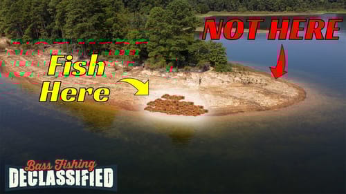 You’ll Never Fish Your Lake The Same Way Again In The Fall