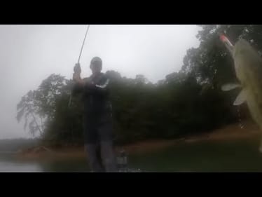 5 Minutes Of Topwater/Jigging Spoon Fishing On Smith/Table Rock Lakes…