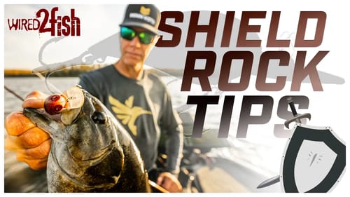 Wiggle Wart Fishing Shield Rock | Tips and Tricks