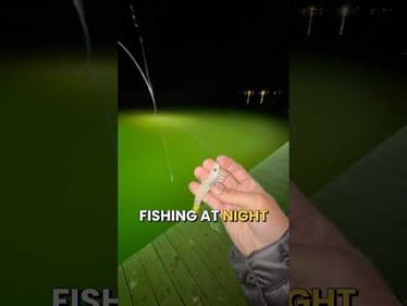 Is THIS Glow Bait Really The BEST For Night Fishing? #fishing #fishingvideos