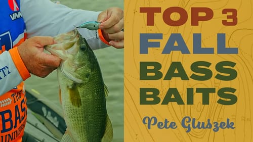 The BEST Lures for Fall Bass Fishing!