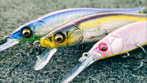 The Cold Water Bass Fishing Trick Everyone Forgets!!