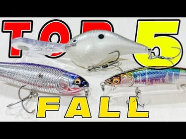 Top 5 Baits For Fall Bass Fishing!
