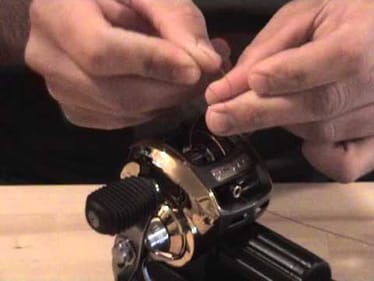 Arbor Knot + (Dated) Channel Update