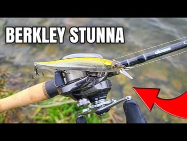 Bank Fishing with a Jerkbait (NEW Berkley Stunna)
