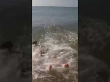 Surfs up, @factsoffishing