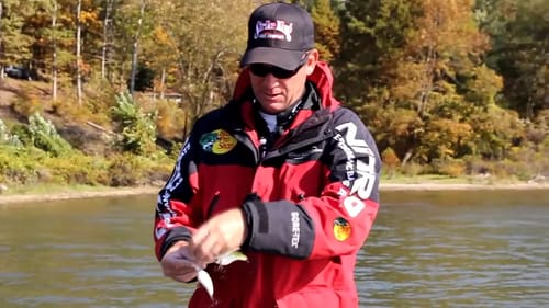 An Offshore Bass Fishing Cranking System