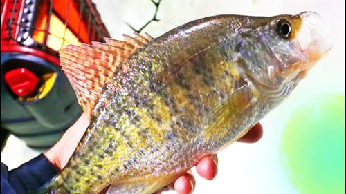 Crappie In BRUTAL Weather Conditions! Where is Spring!?