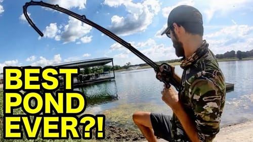 Is THIS THE BEST POND ON EARTH?? (INSANE)
