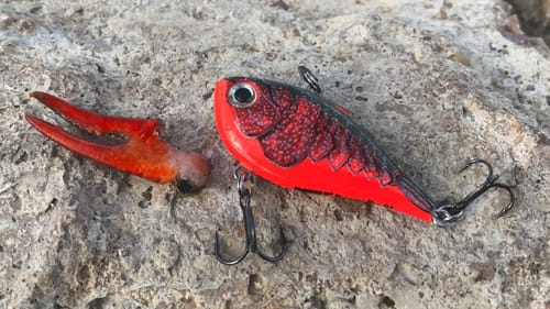 Find Crawfish & Throw This Lure | Winter Pond Bass Fishing