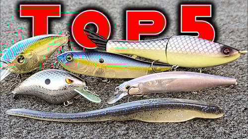 Top 5 Baits For October Bass Fishing!!