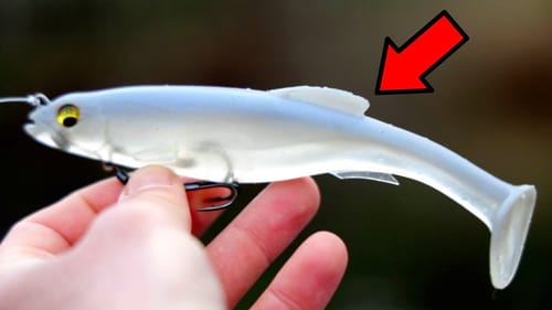 3 Ways to Catch BIG BASS This Spring!
