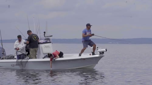 Megabass Megadog Topwater Striper Blowups w/ @OliverNgy