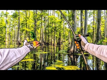 Fishing SWAMPY CREEKS For BIG BASS!!! || Tournament Pre Fishing