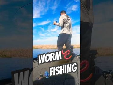BOAT FLIP ONLY‼️ Worm 🪱 Fishing Lake Okeechobee #short #bassfishing #fishing
