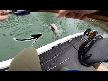 Sight Fishing MONSTER Bass In a Backwater Creek (My Biggest Yet!)