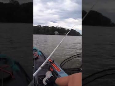 When you don’t even know you have a fish on #shorts