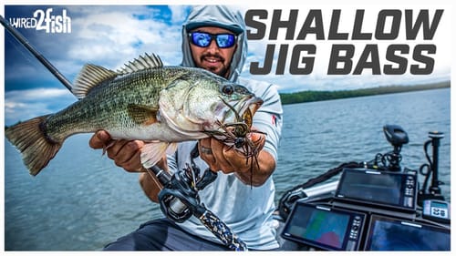 How to Jig Fish for Bass in Shallow Rocks