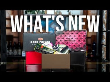 What's New This Week - 2026 Lucky Bags, Lucky Boxes and Lucky Bentos!