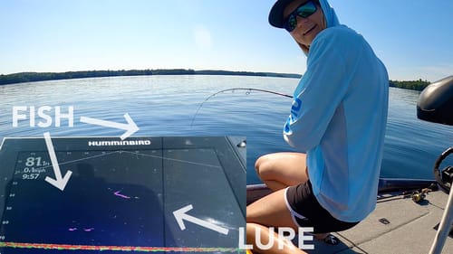 Jigging for Lake Trout in the Summer! (Mega Live Footage)